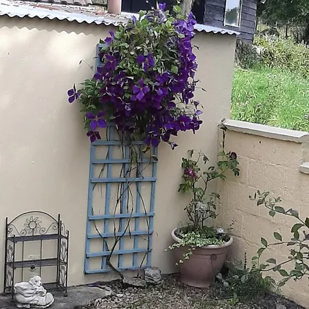 Отель типа 