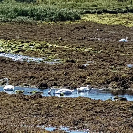 Alojamento de Acomodação e Pequeno-almoço Channel View *