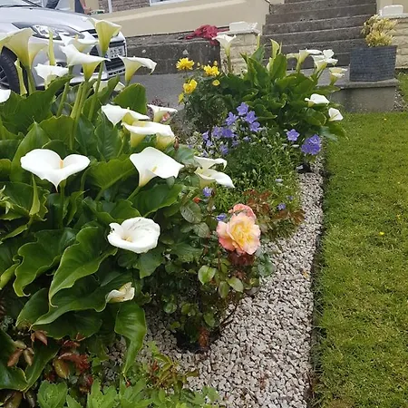 Bed & Breakfast Channel View *