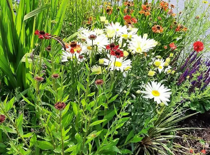 Couette-café Channel View Ballyshannon