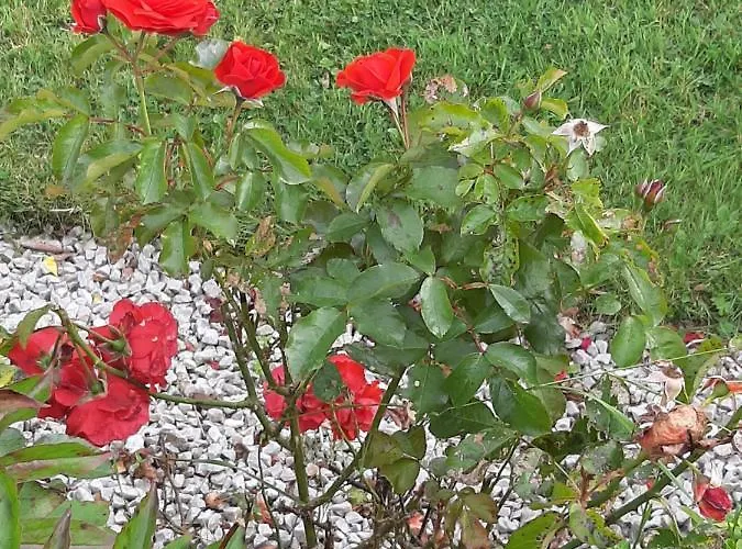 Channel View Ballyshannon