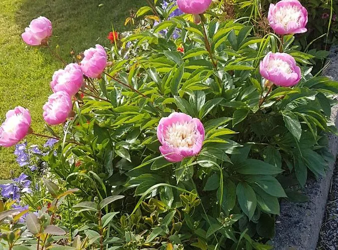 Channel View Couette-café