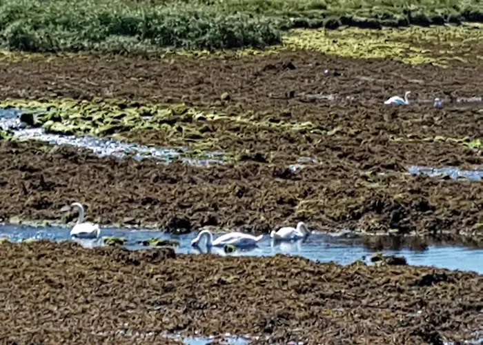 Bed & Breakfast Channel View *